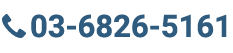 +81-3-6826-5161