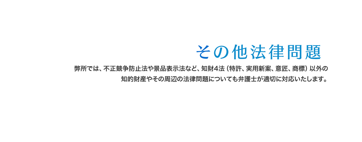 弊所では、不正競争防止法や景品表示法など、知財4法（特許、実用新案、意匠、商標）以外の知的財産やその周辺の法律問題についても弁護士が適切に対応いたします。