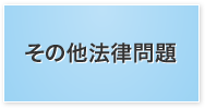 その他法律問題