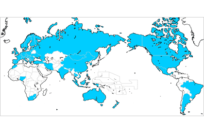 弊所における外国出願の取扱実績・・世界50ヵ国以上（マドプロ含む）